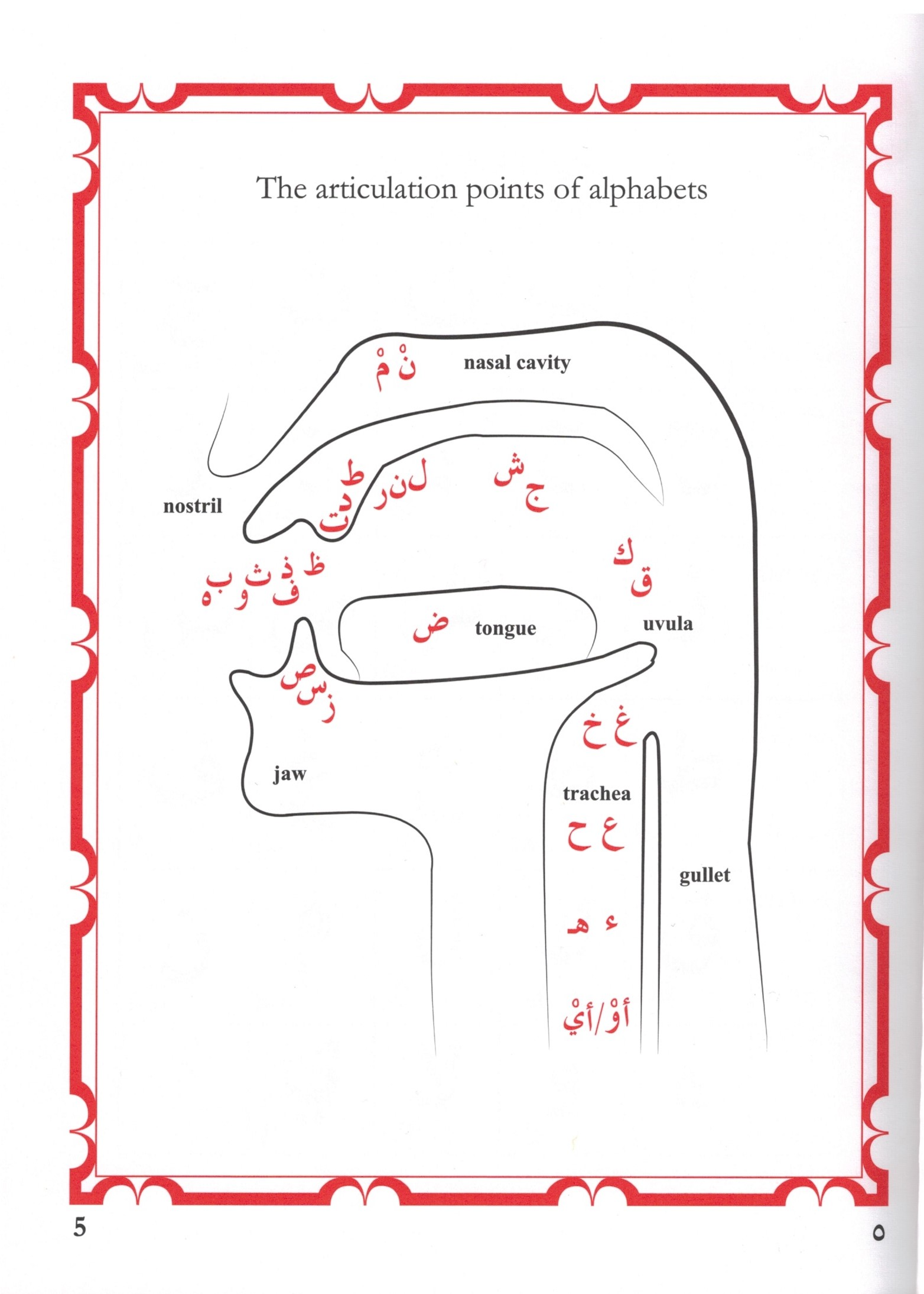 Modern Yassarnal Qur'an أنوار قرآنية في القاعدة البغدادية - Premium Textbook from IQRA' international Educational Foundation - Just $9! Shop now at IQRA Book Center | A Division of IQRA' international Educational Foundation